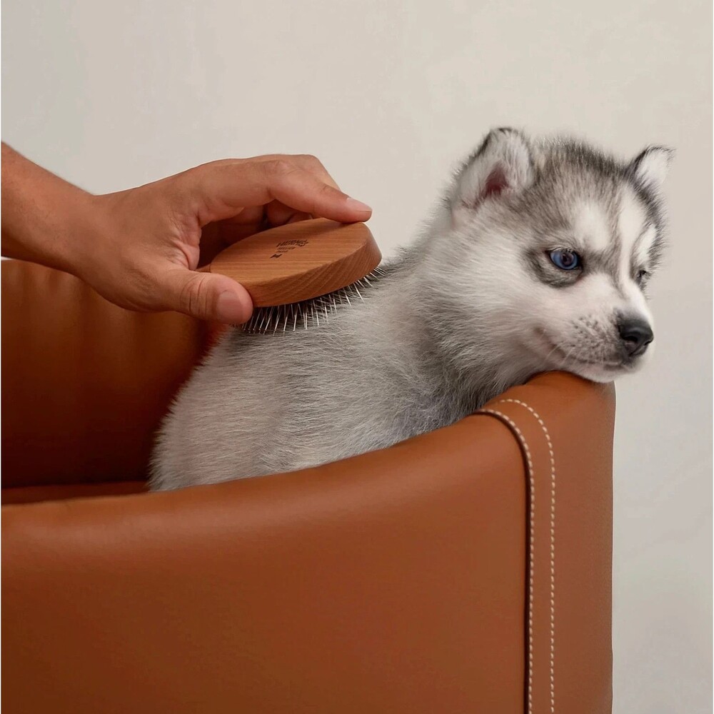Hermès Dog Pet Brush NEW